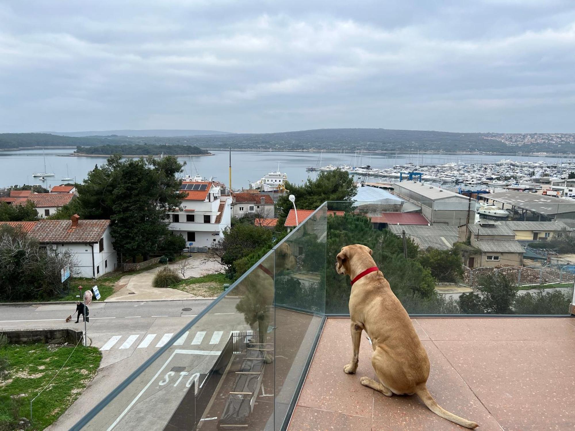 Panorama Penthouse Punat Bagian luar foto